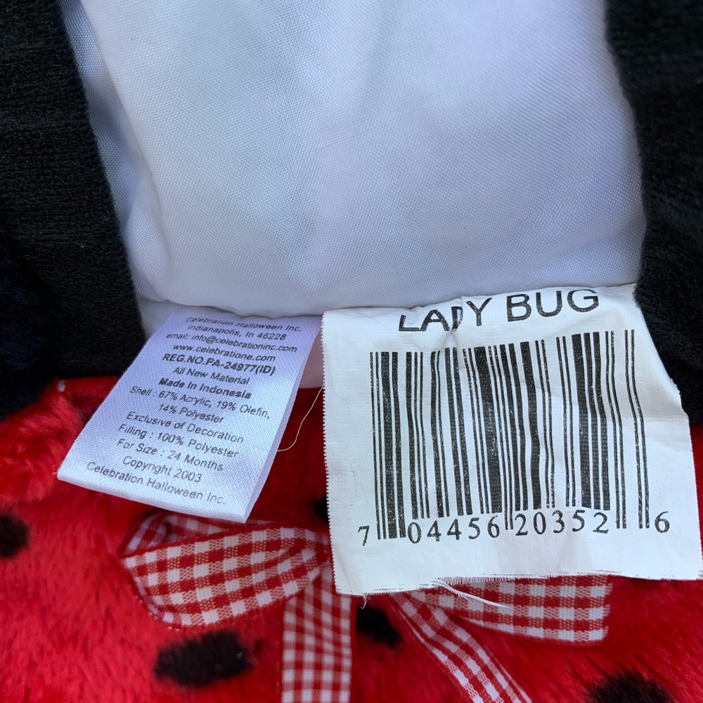ladybug - Picture 2 of 5